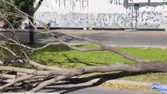 Un árbol cayó sobre un motociclista en plena avenida durante el temporal en Rosario