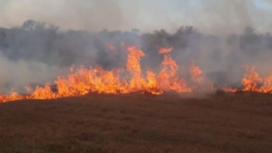 Otra vez fuego en las islas: se reactivaron los incendios en el humedal