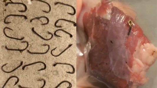 Le lanzaron carne con anzuelos a una perra y se salvó de milagro