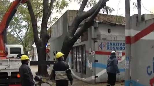 Un árbol de gran porte cayó sobre la sede de Cáritas Rosario durante el temporal