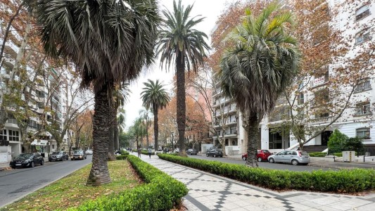 Tiempo en Rosario: frío al amanecer y una tarde templada que alivia el invierno