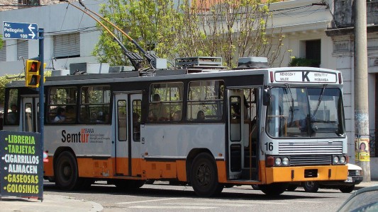 La municipalidad renueva la flota de colectivos: habrá 130 unidades nuevas antes de la primavera