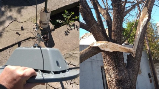 Un camión arrasó con el alumbrado público, cables de internet y ramas: dejó a todo un barrio sin luz