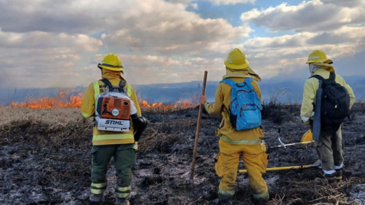 Santa Fe, Buenos Aires y Entre Ríos unidos para combatir incendios en el delta del Paraná