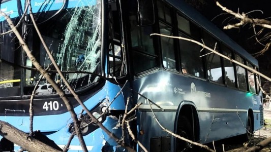 Un colectivero se desmayó, derribó un árbol y colisionó contra un edificio