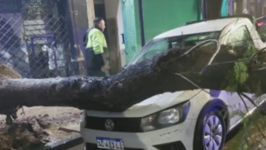 Consecuencias de la tormenta: se desplomó un arbol de gran porte sobre un auto