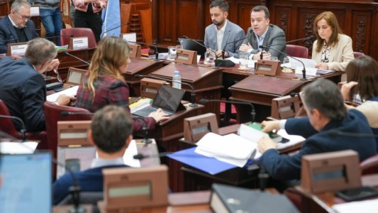 La Convención Reformadora ingresó en la etapa de redacción del nuevo texto constitucional