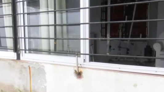 Robo millonario en San Lorenzo: se llevaron dólares, joyas y un arma de fuego