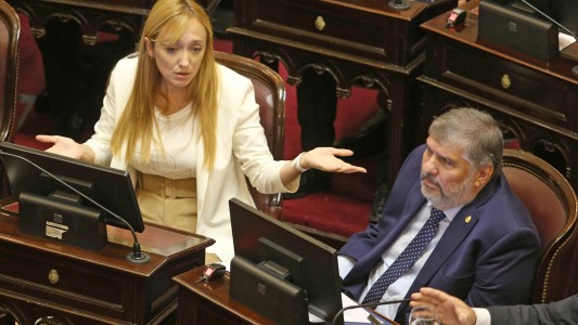 El Senado debatirá el rechazo del veto a Discapacidad y la reforma de los DNU