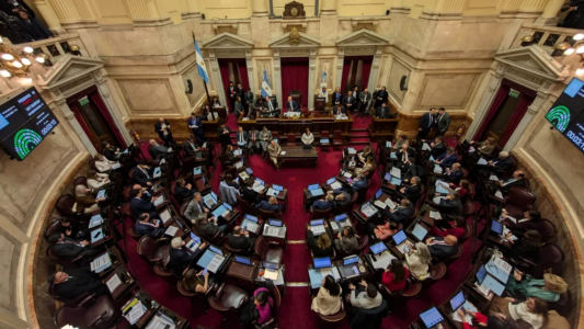 El Senado inició la sesión en la que rechazará el veto a la emergencia en Discapacidad