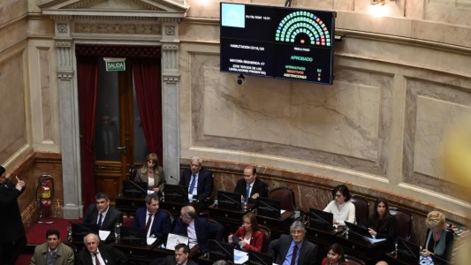 El Senado rechazó el veto en Discapacidad y la ley deberá ser promulgada