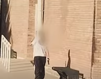 ¿Qué dicen los especialistas sobre el caso de la nena armada en Mendoza?