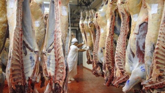 El Gobierno suspendió también las retenciones a la carne vacuna y aviar