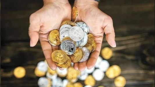 Sitio oficial del Gobierno promocionaba la “Sommer Token” como un criptomoneda nacional