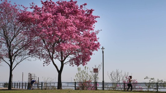 Tiempo en Rosario: el viento se calma, pero el frío se queda