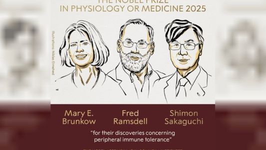 El premio Nobel de Medicina 2025 fue otorgado a Mary E. Brunkow, Fred Ramsdell y Shimon Sakaguchi