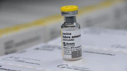 Preocupación por la falta de vacunas contra la fiebre amarilla: “No hay stock para la demanda espontánea que empieza a crecer”