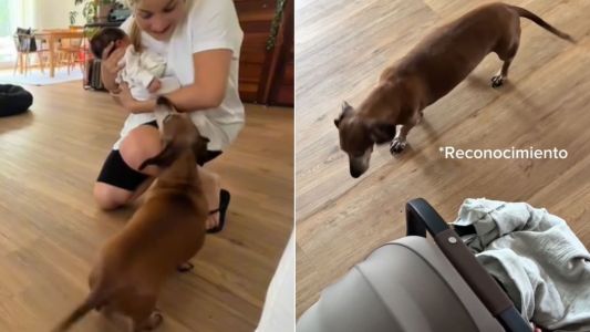 Sofía Pachano mostró la reacción de su perro al conocer por primera vez a su bebé