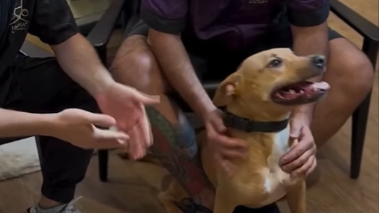 India ya tiene familia: una adopción que empezó con un video y terminó en hogar