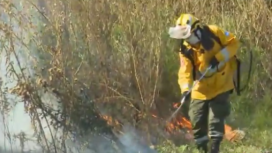 Incendios de pastizales en distintos puntos de la ciudad