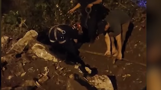 Rescataron un caballo que cayó 27 metros por una barranca en el Arroyo Saladillo