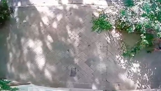 Vecinos indignados: un hombre destruyó los canteros de la cuadra