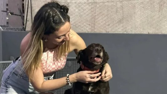 Murieron 14 mascotas en un incendio que habría sido causado por la pirotecnia