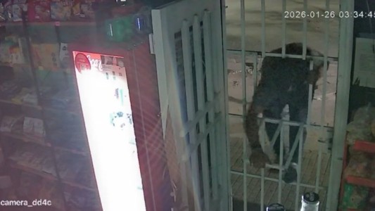 Rompió la reja y robó en un kiosco de zona oeste