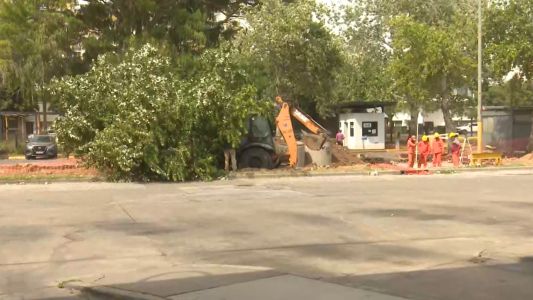 Se cayeron tres árboles en la Terminal de Ómnibus por las fuertes ráfagas