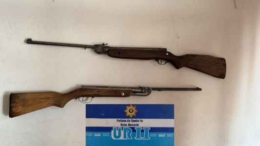 Hallaron un gato encerrado en un balcón y armas en un departamento del centro