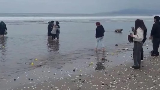 Finalizó la búsqueda del joven argentino perdido en el mar de Chile: su familia despidió al joven en un emotivo acto.