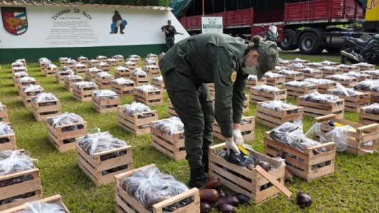 Gendarmería incautó más de 31 kilos de cocaína ocultos en cajones de berenjenas en Salta