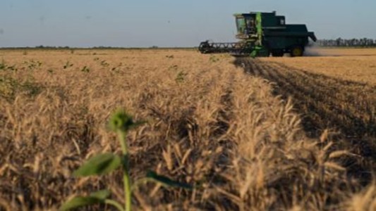 El sector exportador celebró la reducción de retenciones anunciada por el Gobierno