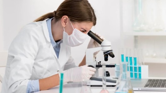 Innovación argentina: crean piel a partir de células del propio paciente y abren nuevas alternativas terapéuticas