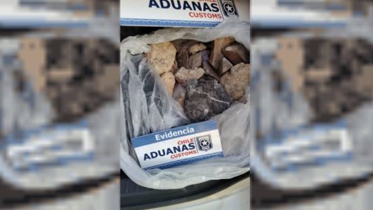 Detectaron 18 fósiles en el baúl de un auto que iba rumbo a Chile