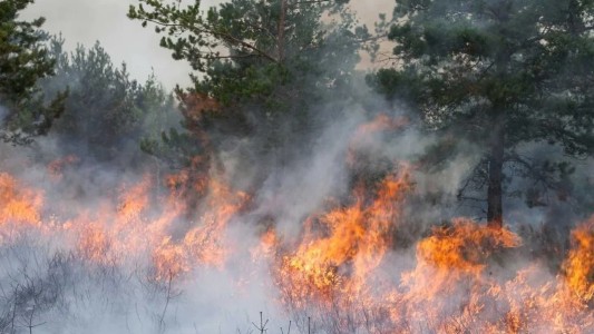 Seguridad nacional promete identificar y juzgar a los responsables de los incendios en Chubut