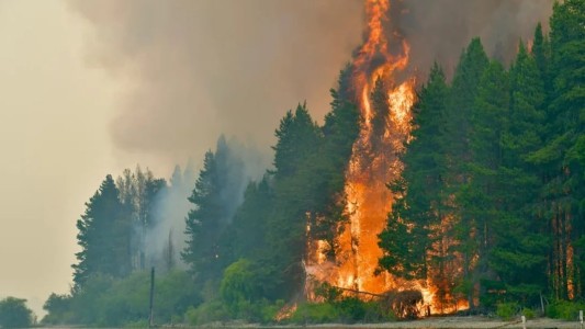 El Gobierno anunció que endurecerá las penas contra quienes provoquen incendios forestales