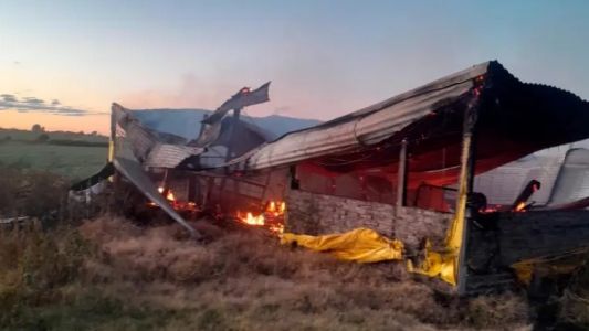 Entre Ríos: se incendió un criadero y murieron 500 cerdos