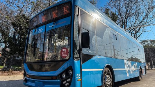 Suspenden temporalmente el servicio de la línea K por tareas de arbolado