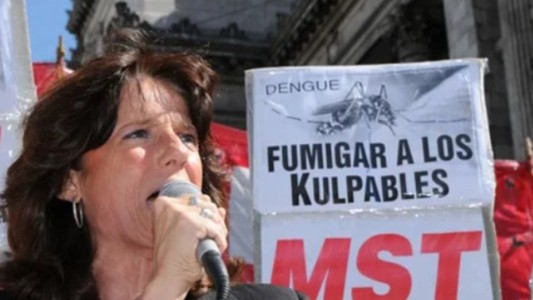 Vilma Ripoll protagonizó un incidente: se arrojó sobre el auto de Milei en el Congreso