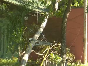 Una columna cayó sobre el tapial de una vivienda