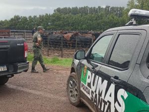 La Policía Rural recuperó 161 animales tras una denuncia del influencer La Joya Agro