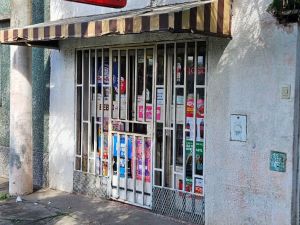 Rompieron la reja de un kiosco y se robaron la mercadería