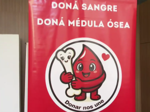 Jornada solidaria: campaña por el día del donante de médula ósea