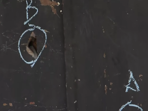 Ataque a balazos contra una barbería en barrio Las Flores