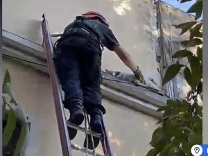 Maipú al 2500: bomberos rescataron a un caniche atrapado en una cornisa en Rosario