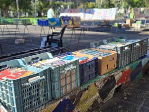 Libros gratis en la Plaza Sarmiento: regalan ejemplares que llevaban años guardados