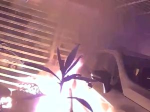 Ataque incendiario en Echesortu: prendieron fuego un auto