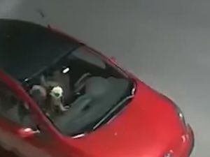 Un delincuente robó pertenencias de un auto