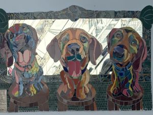 Comenzó a funcionar la guardia del Hospital Animal